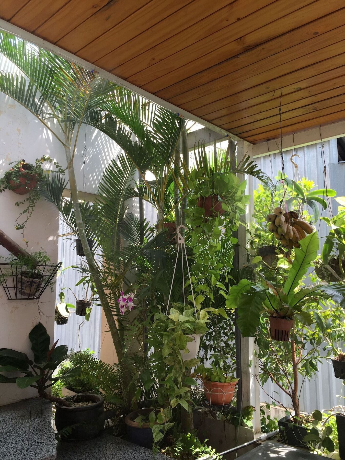 Idea Apartamento *
